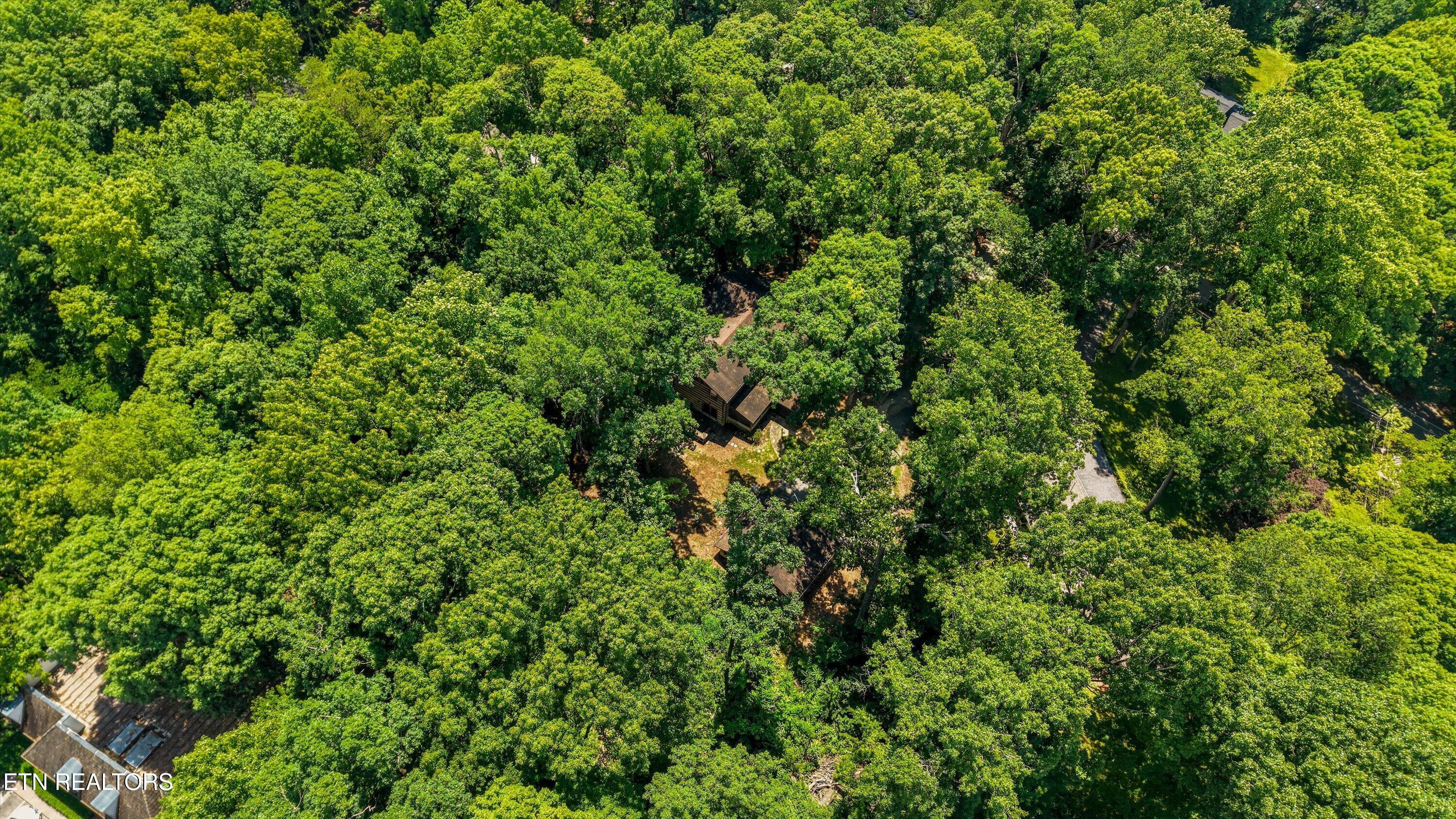122 Land Oak Rd