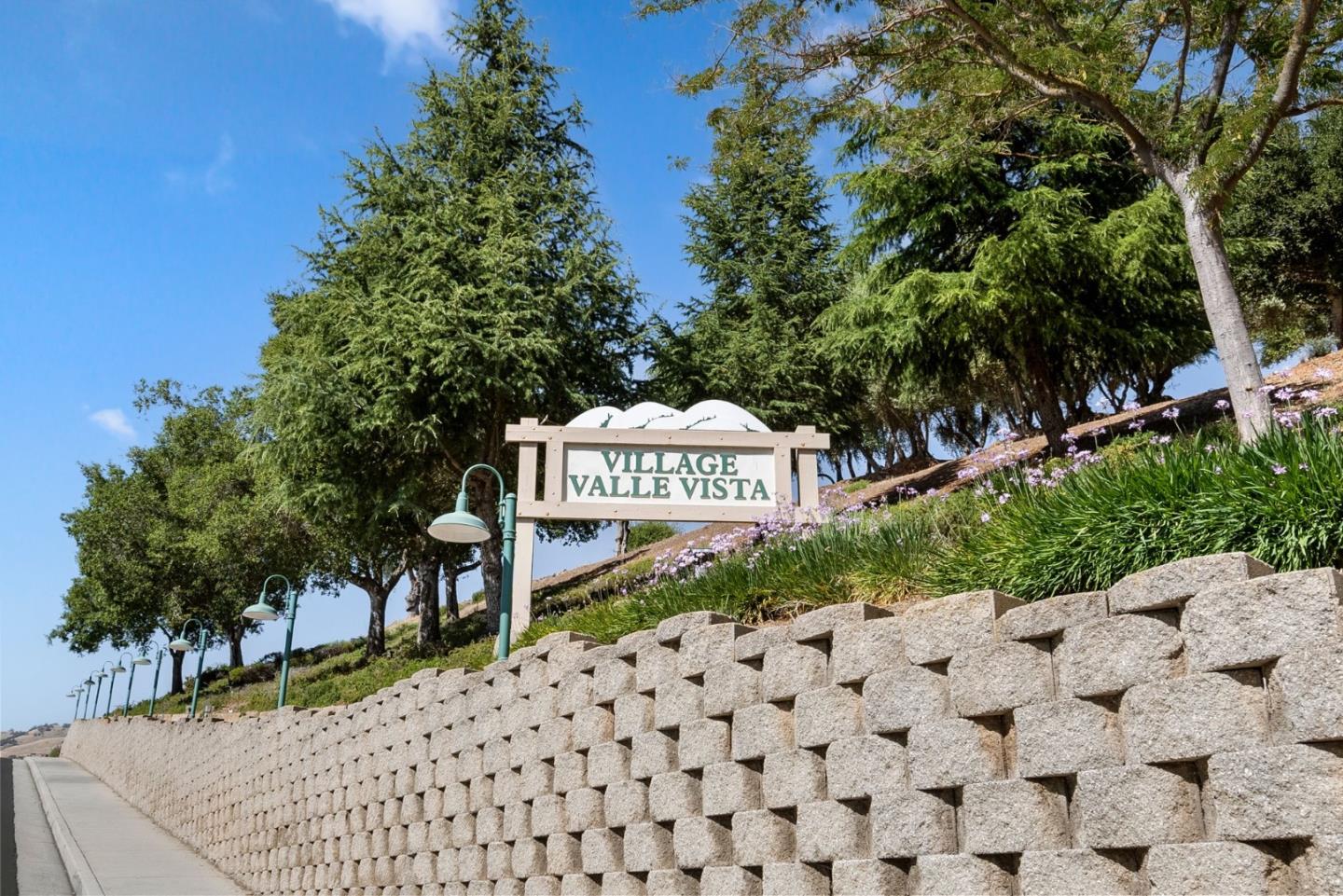 9010 Village View DR