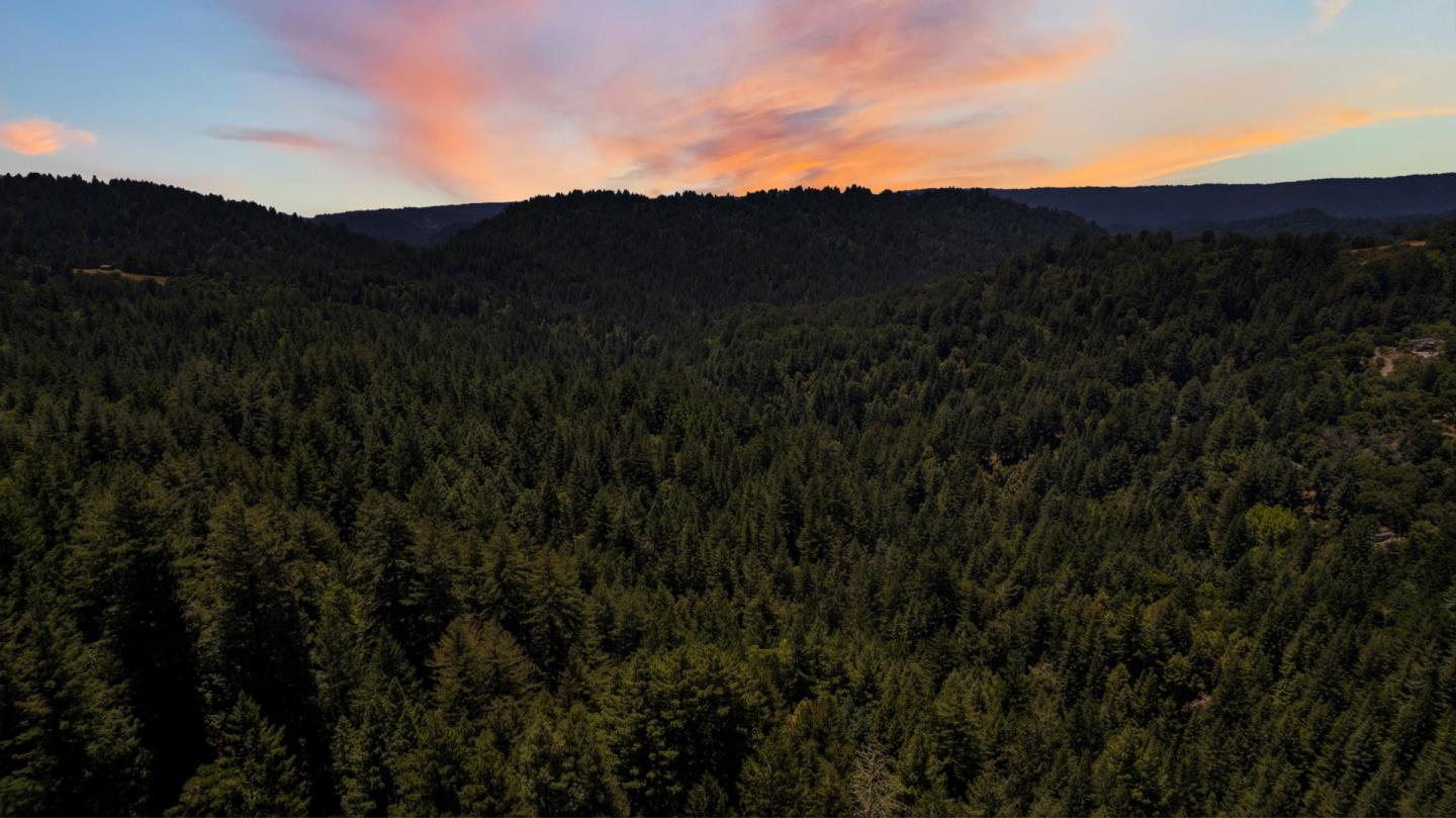 24475 Mountain Charlie RD