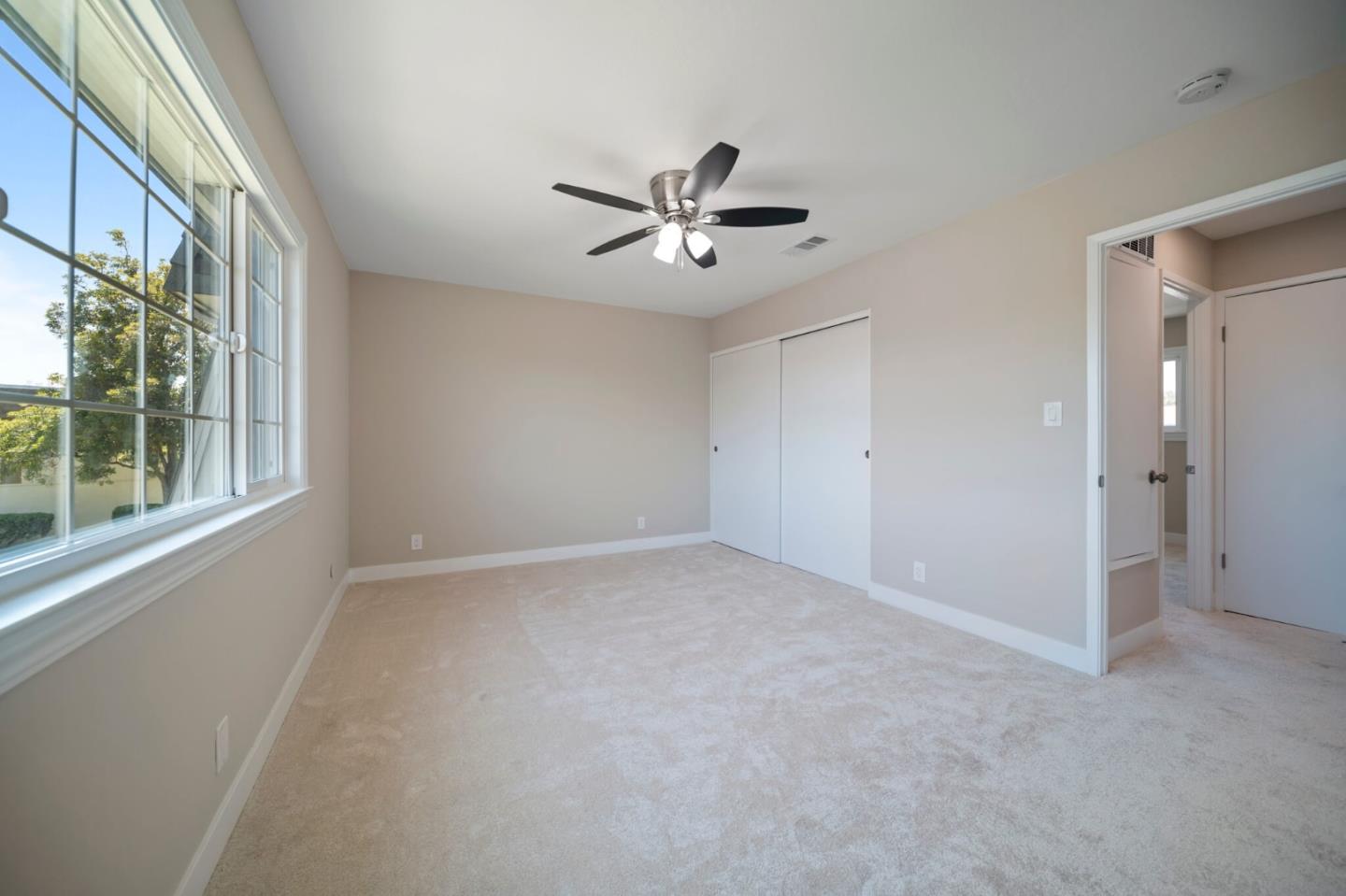 34631 Bahama CMN