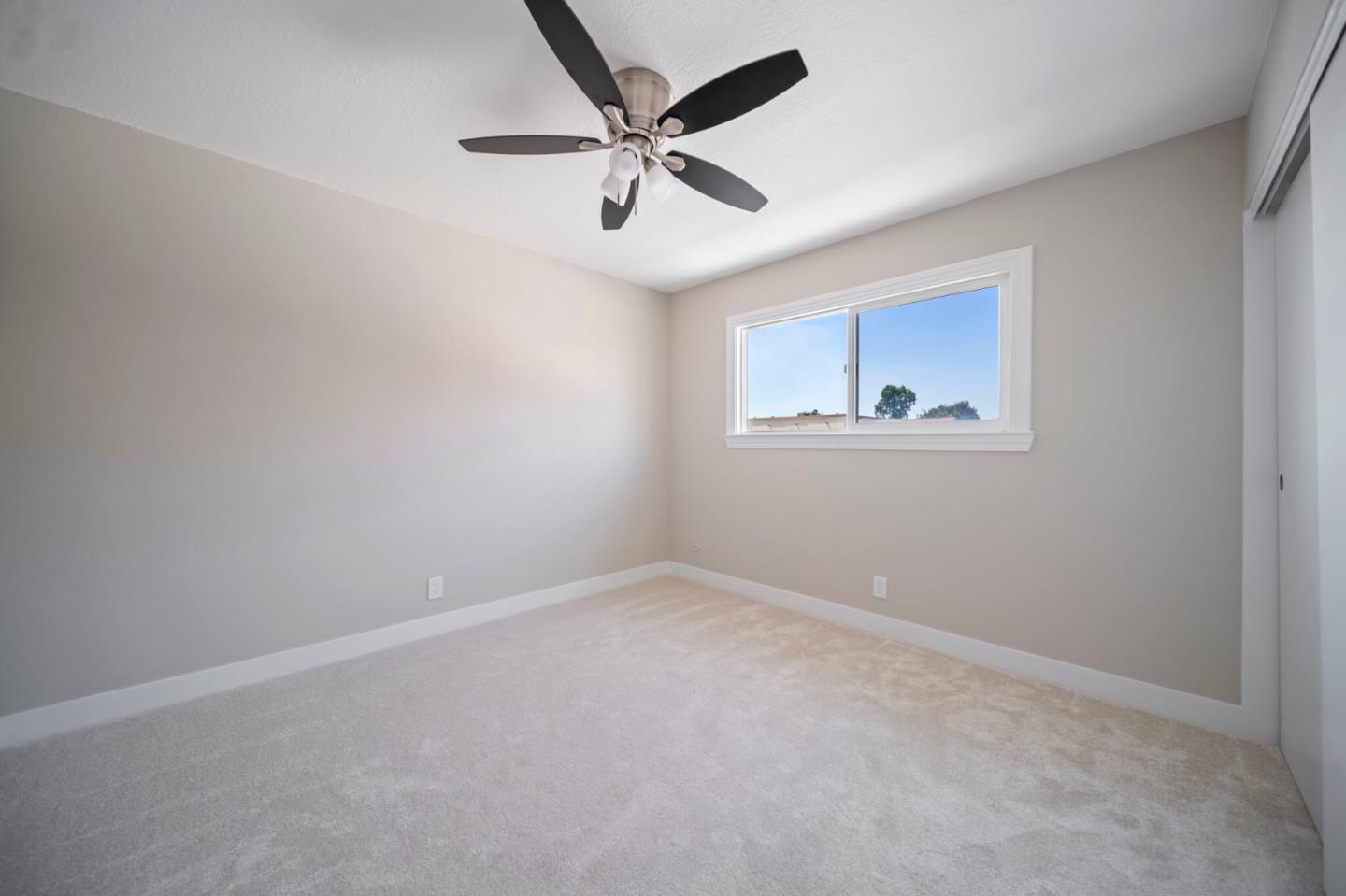 34631 Bahama CMN
