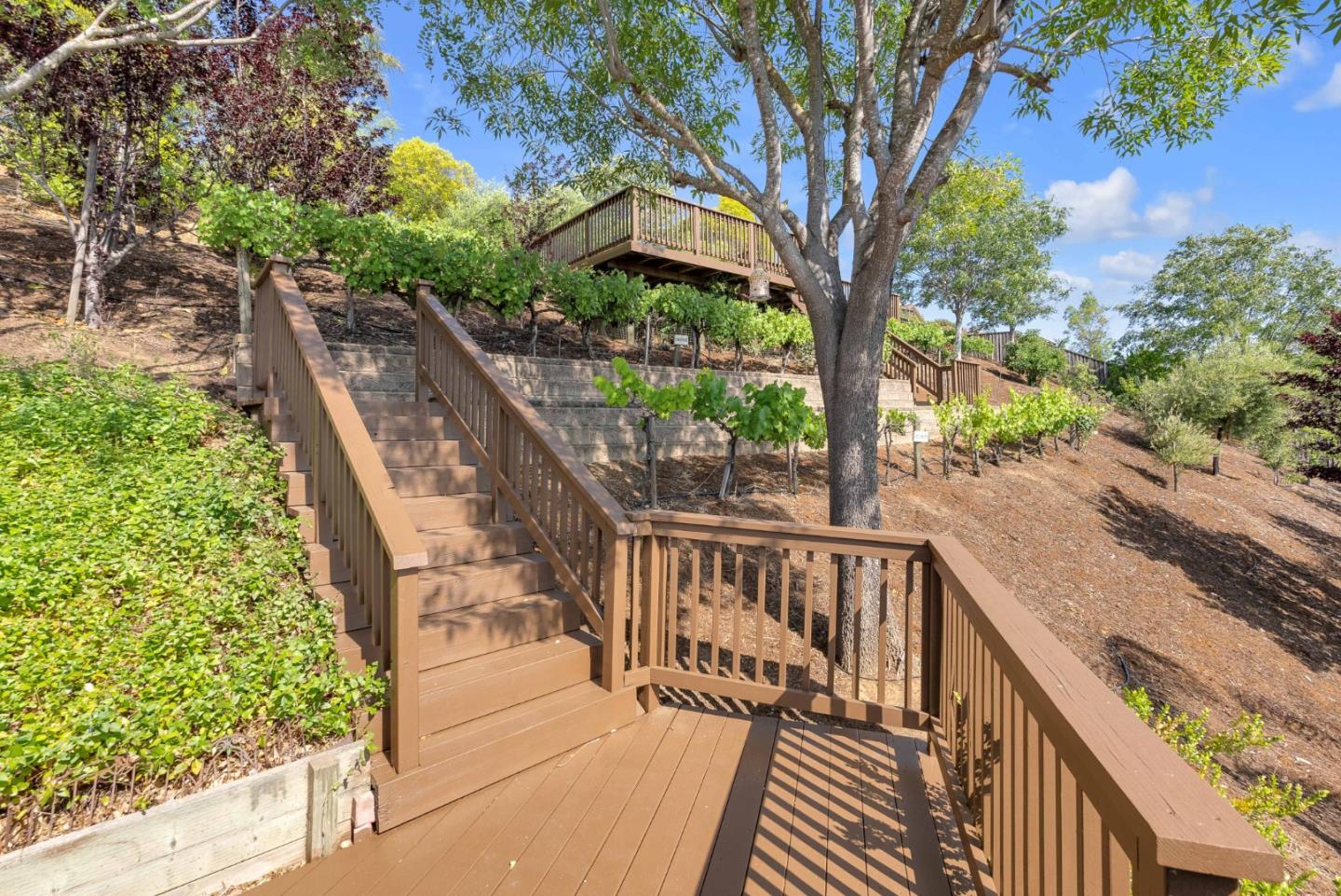 6336 Skywalker DR