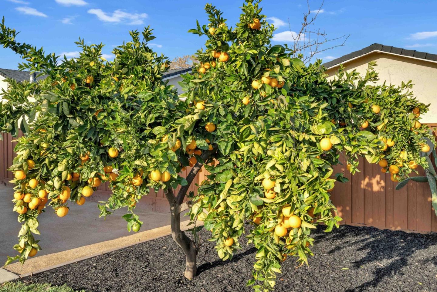 2862 Little Rock Drive