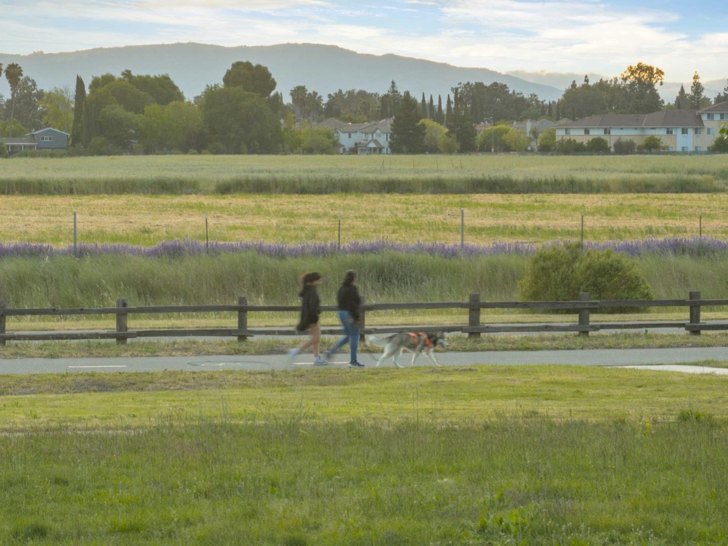 323 Blossom Hill Road 3