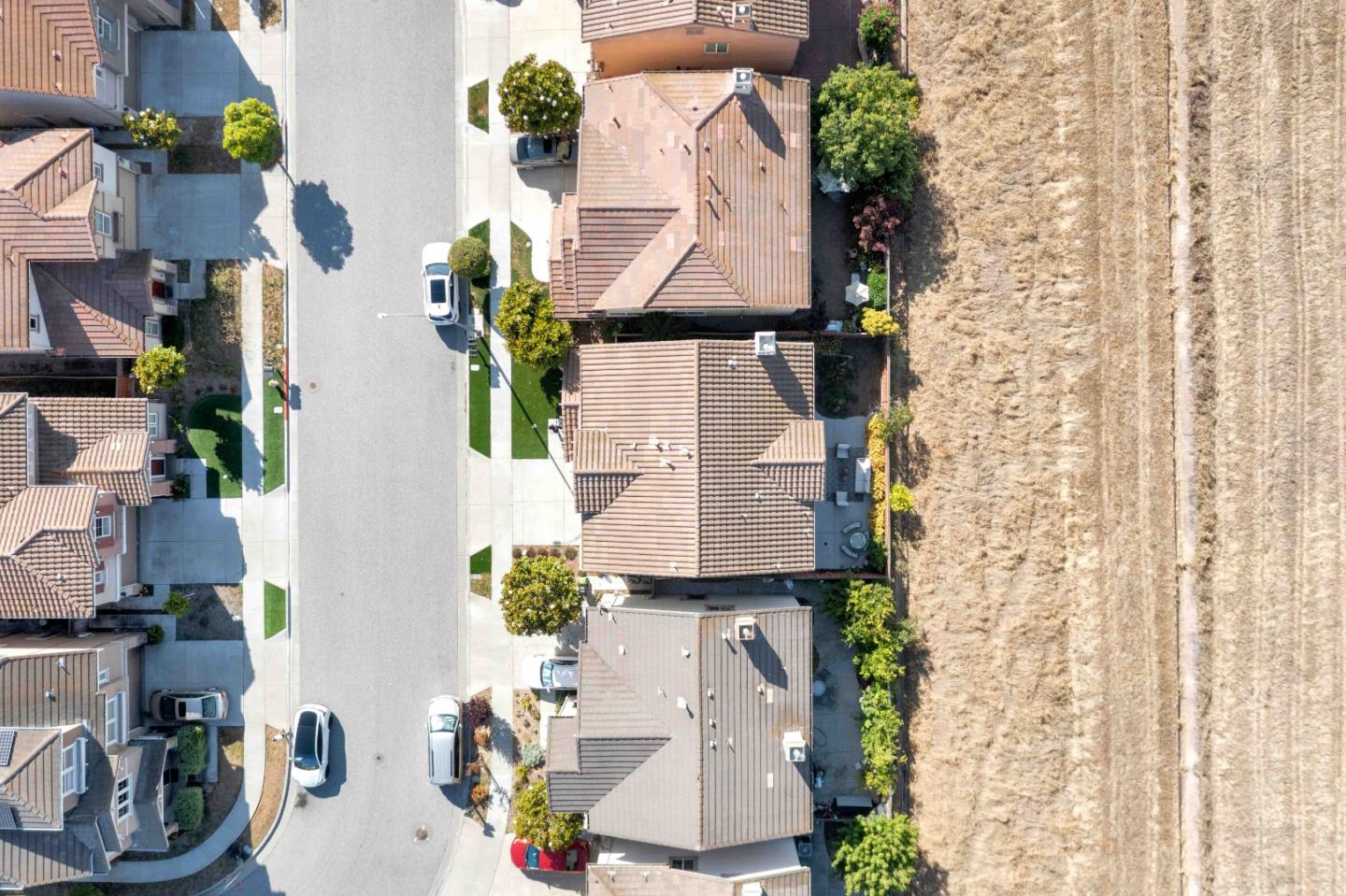 7054 Goldenspur Loop