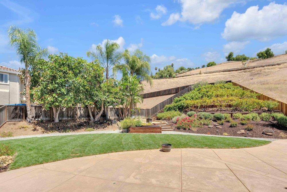 3838 Carrera CT