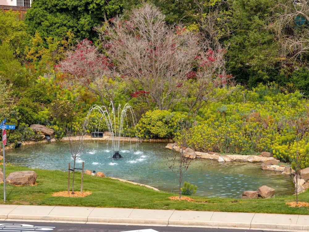 11501 Sunrise Spring CT