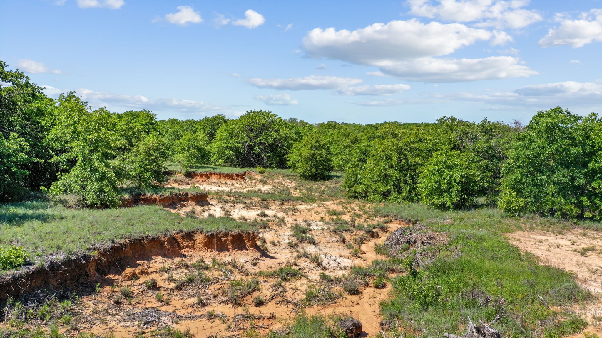 8009 Oak Grove Court