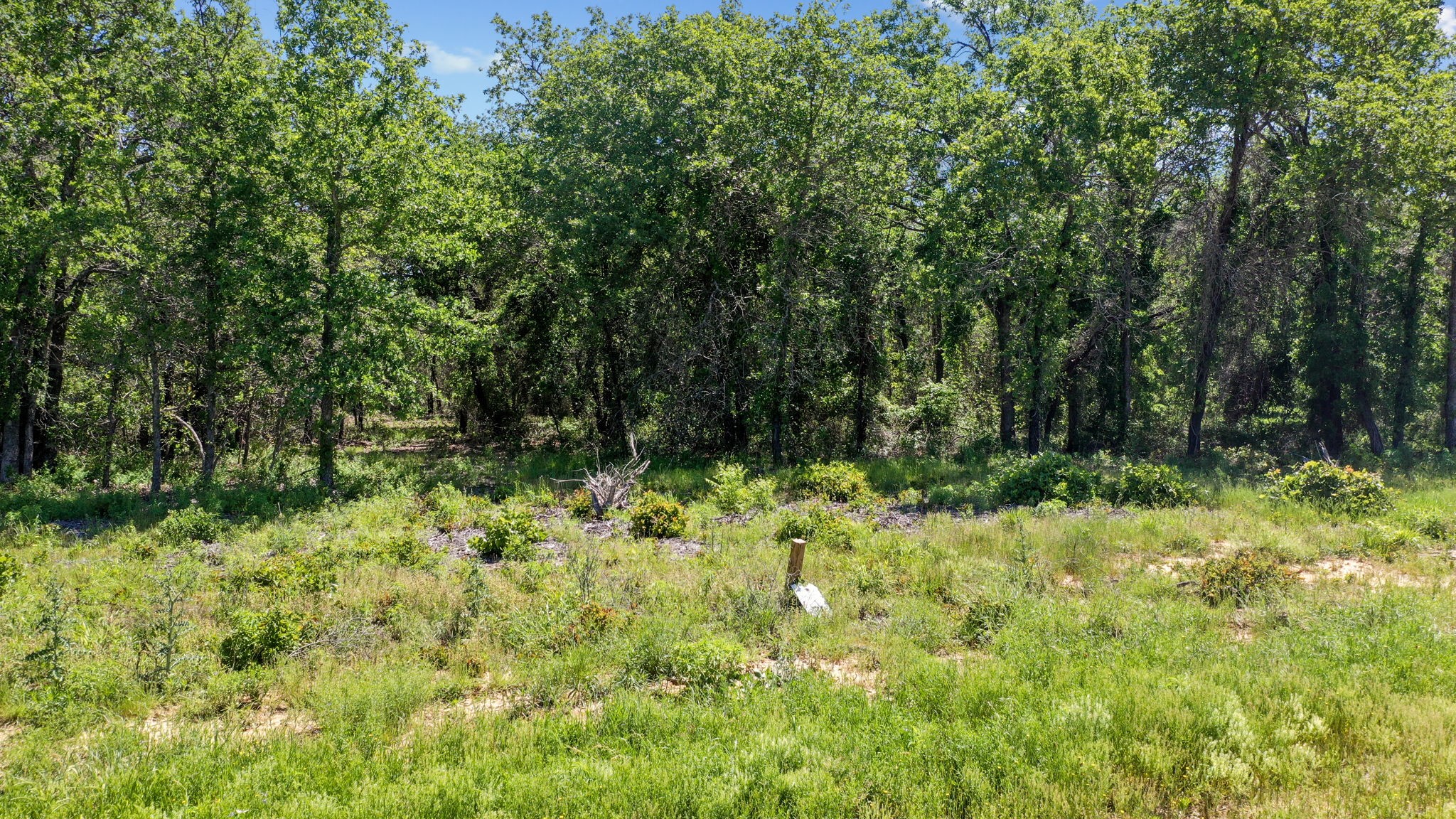 3028 Creekwood Terrace