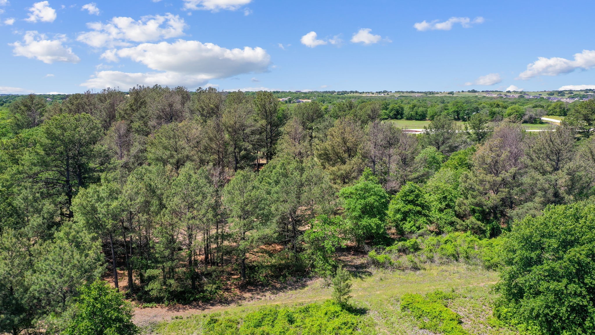 7008 Pinecone Court