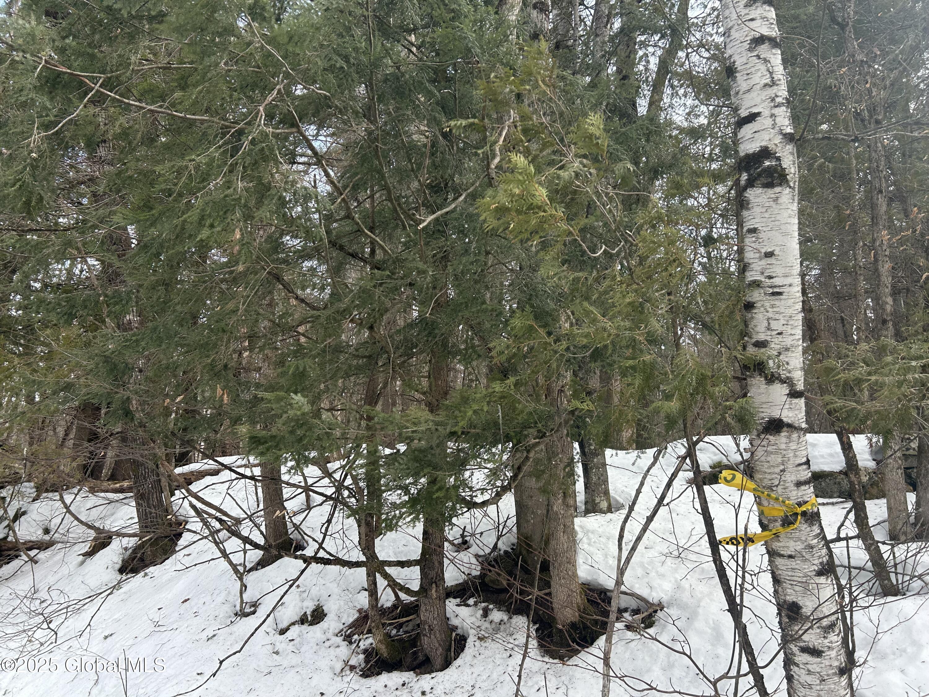 L22.120 Hog Back Road