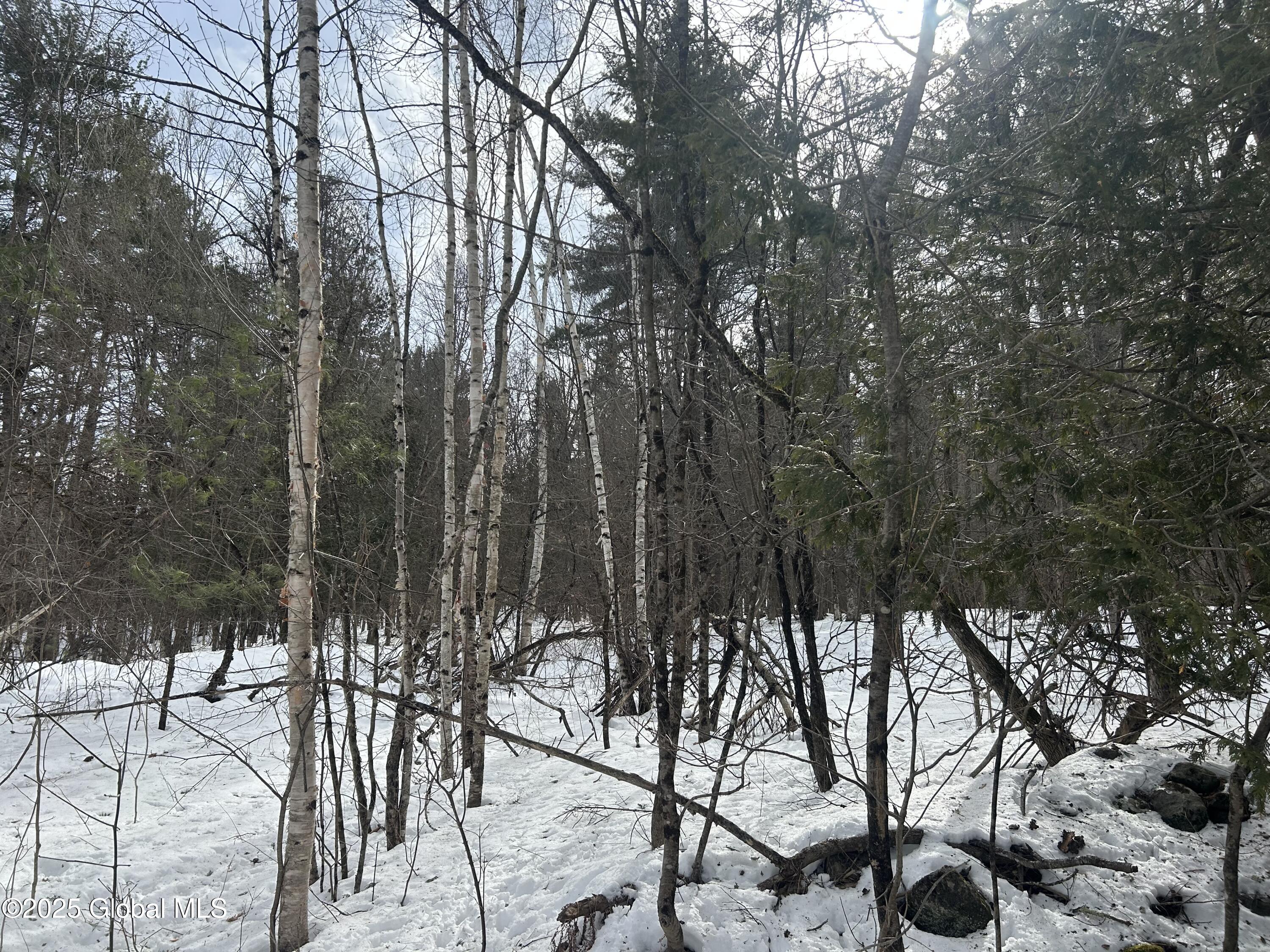 L22.120 Hog Back Road