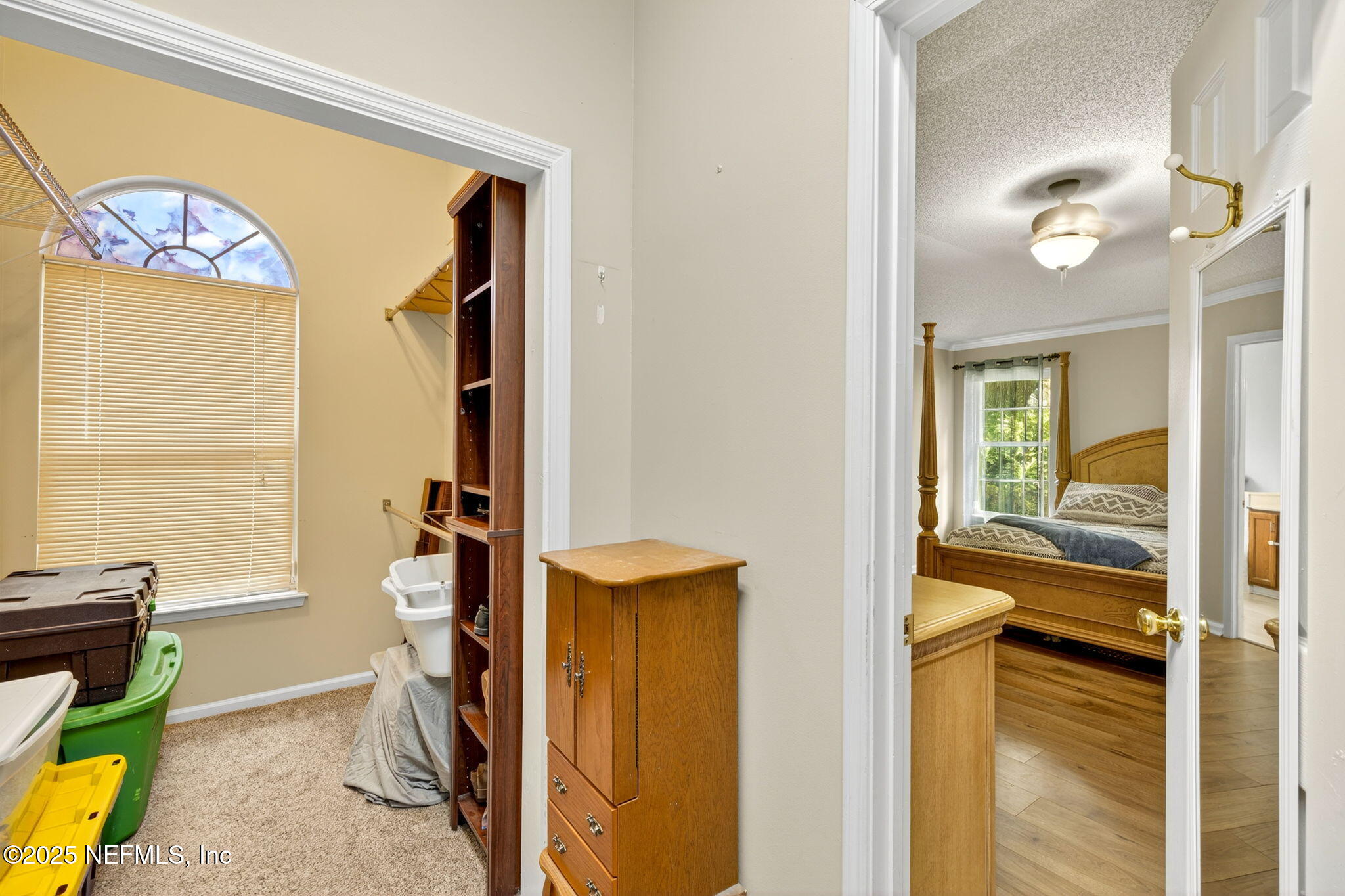 12811 SWAMP OWL Lane