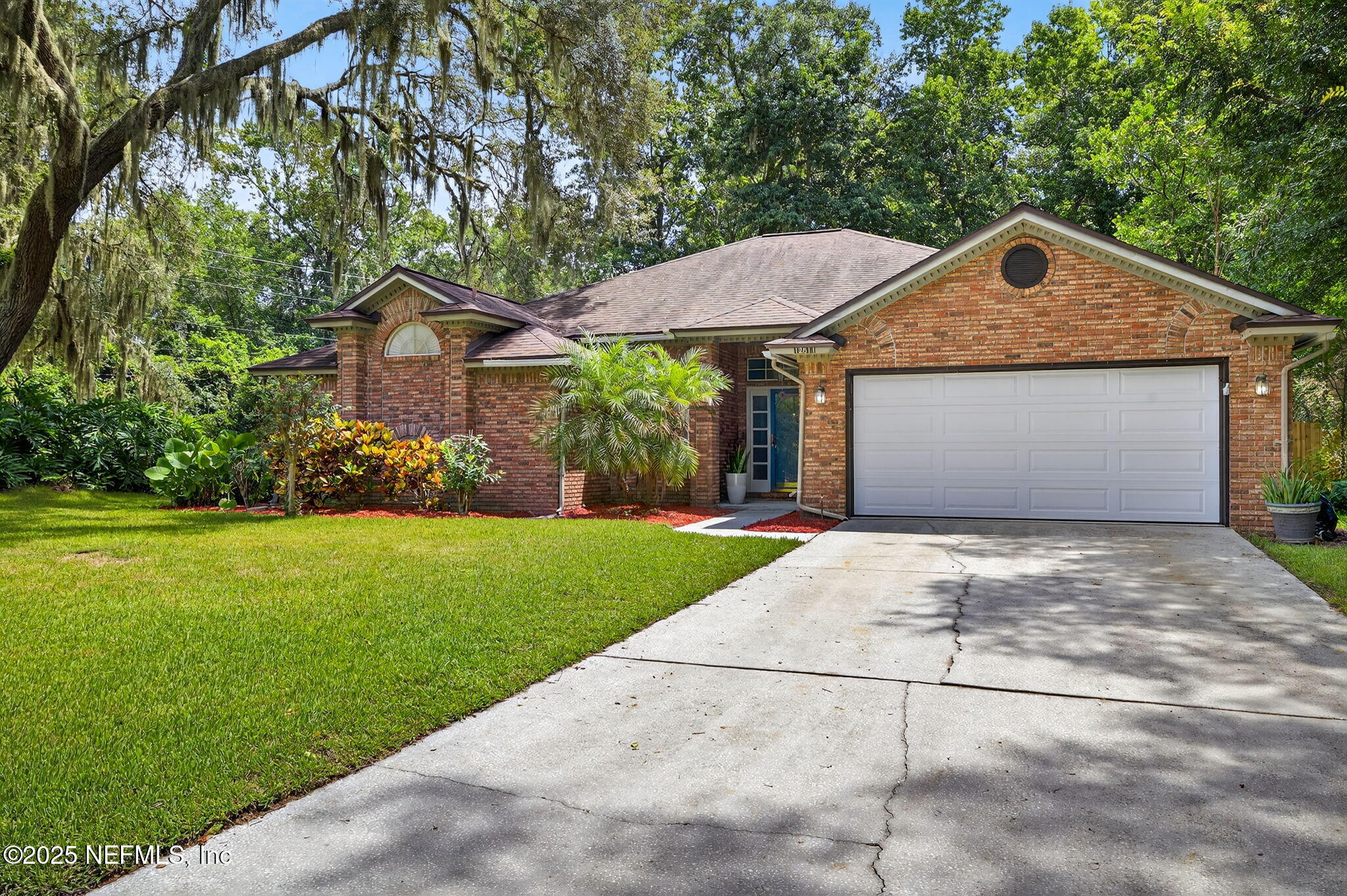 12811 SWAMP OWL Lane