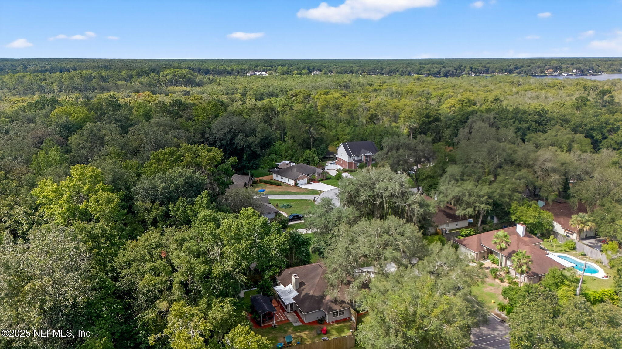 12811 SWAMP OWL Lane