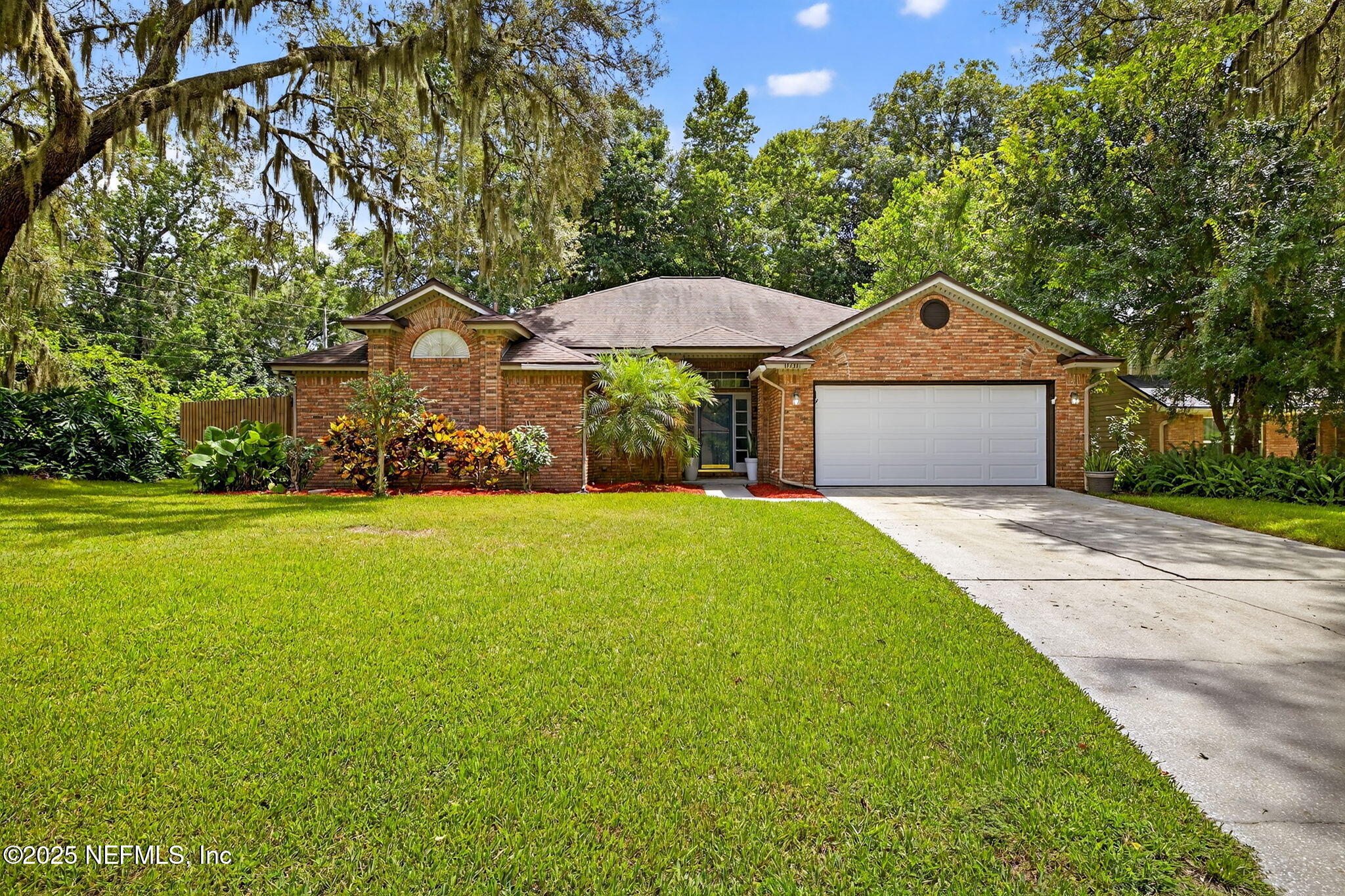 12811 SWAMP OWL Lane