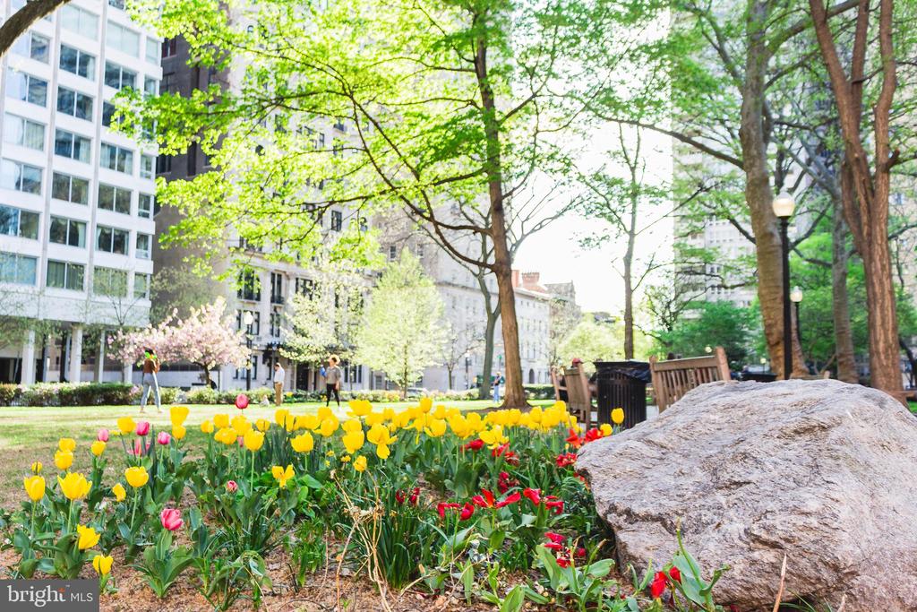 1810 RITTENHOUSE SQUARE 313