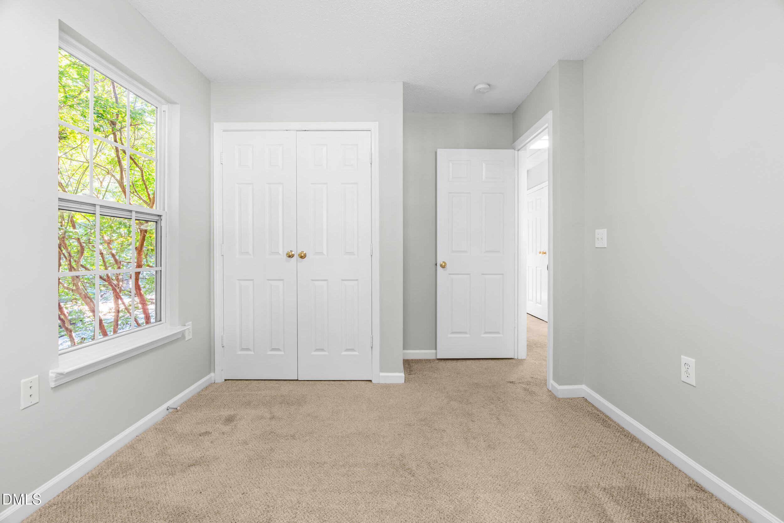 103 Star Thistle Ln