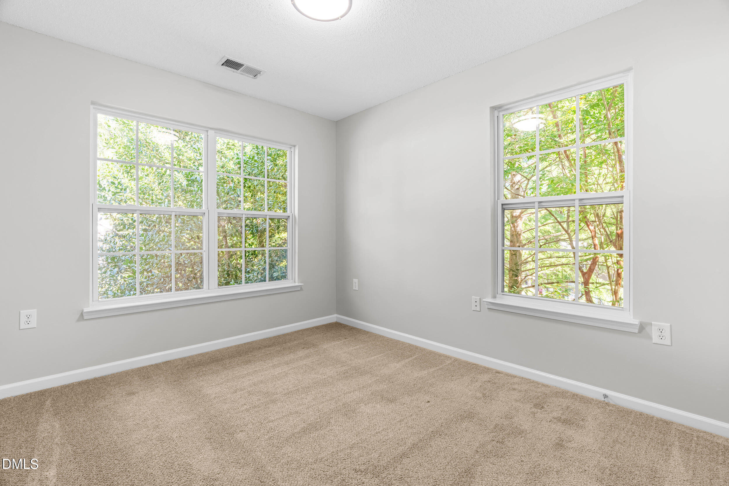 103 Star Thistle Ln