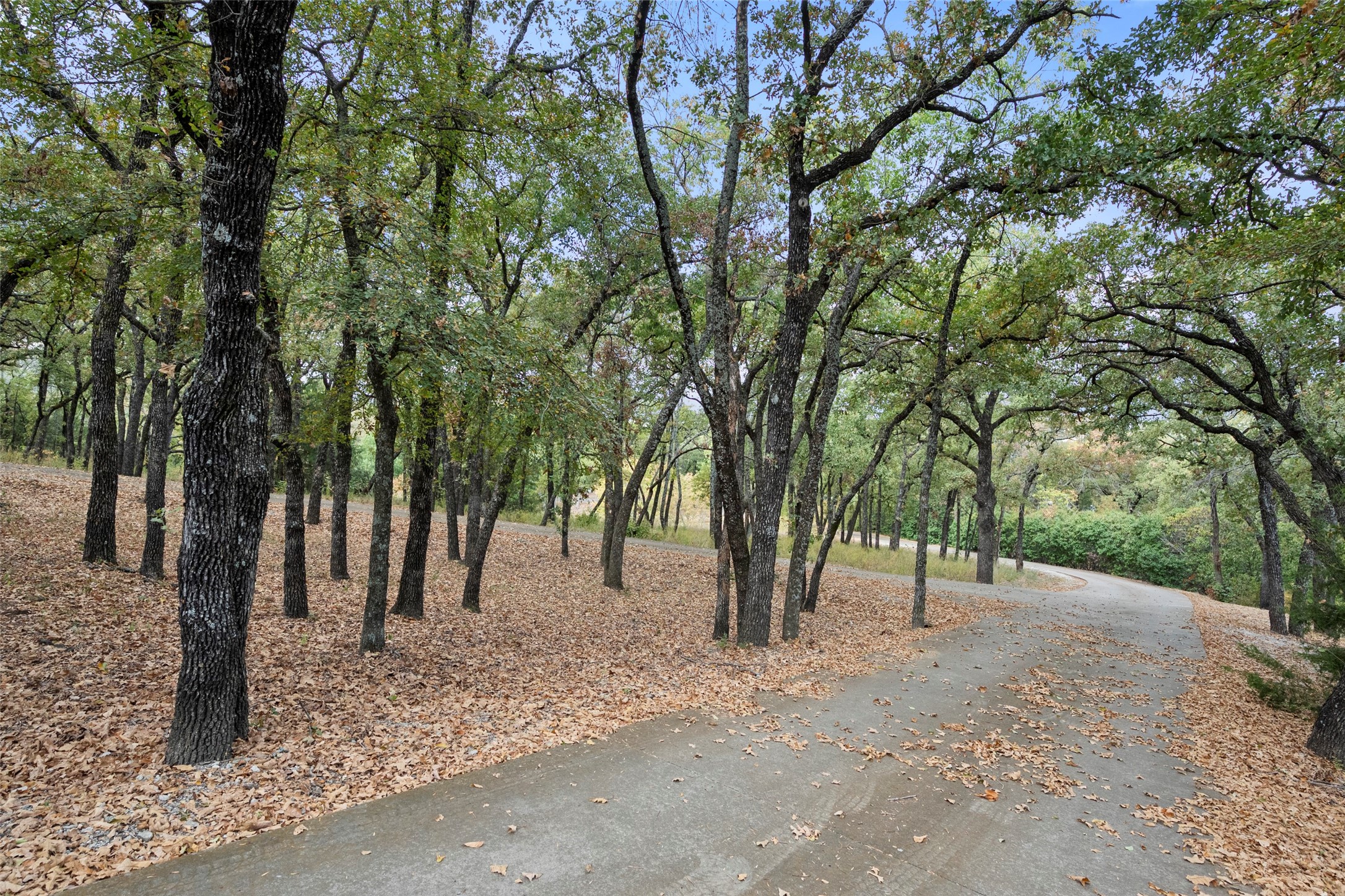 217 Williams Road