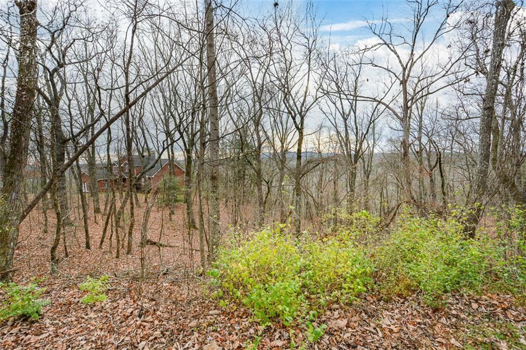 198 Hunters Ridge