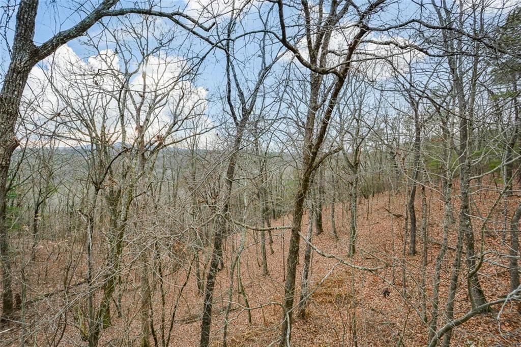 198 Hunters Ridge