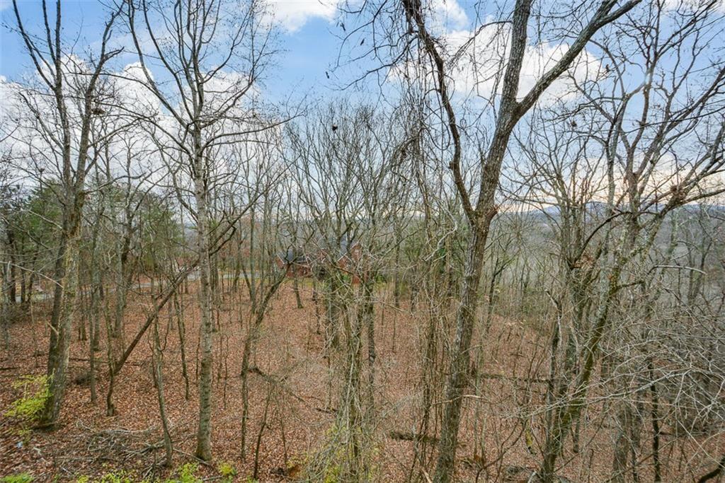 198 Hunters Ridge