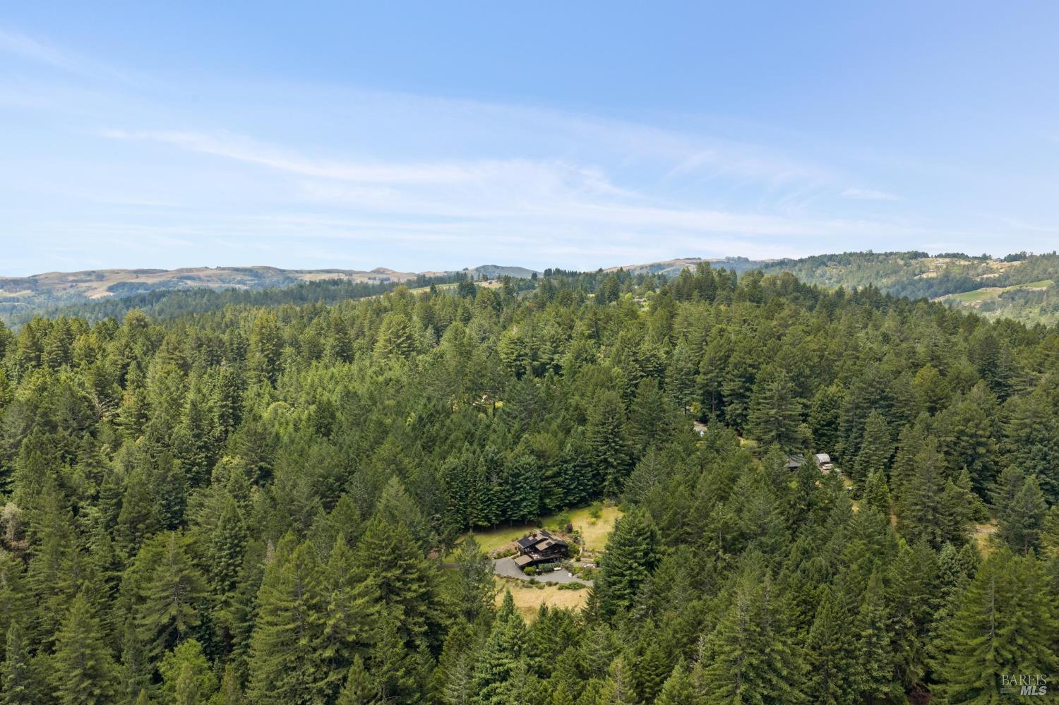 2975 Joy Road