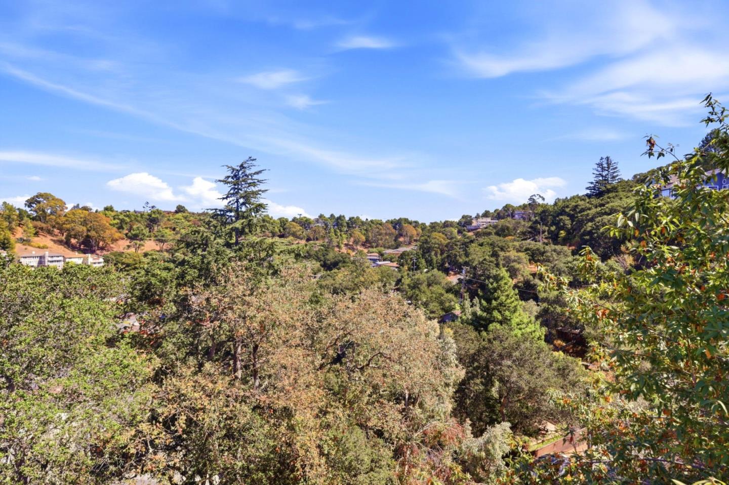 Wooded hillside neighborhood with scattered homes beneath a bright blue sky.