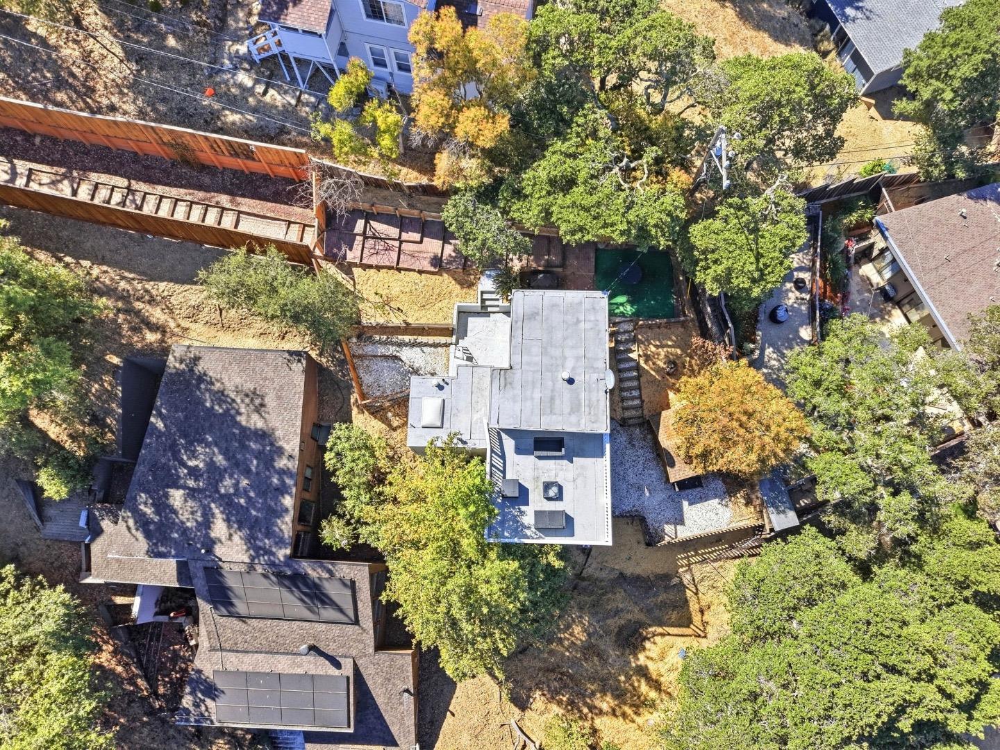 Aerial view of a San Carlos home, with a rectangular pool beside it amid leafy trees and fenced yards.