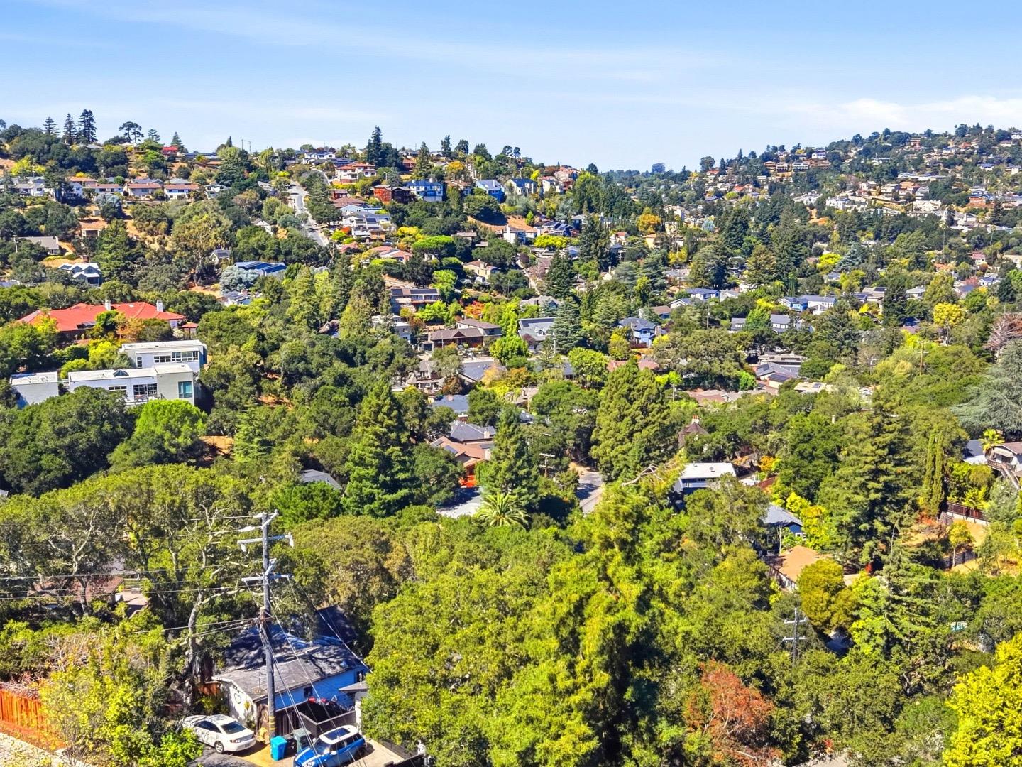 Aerial view of a tree-covered hillside neighborhood with homes spread across the slopes.