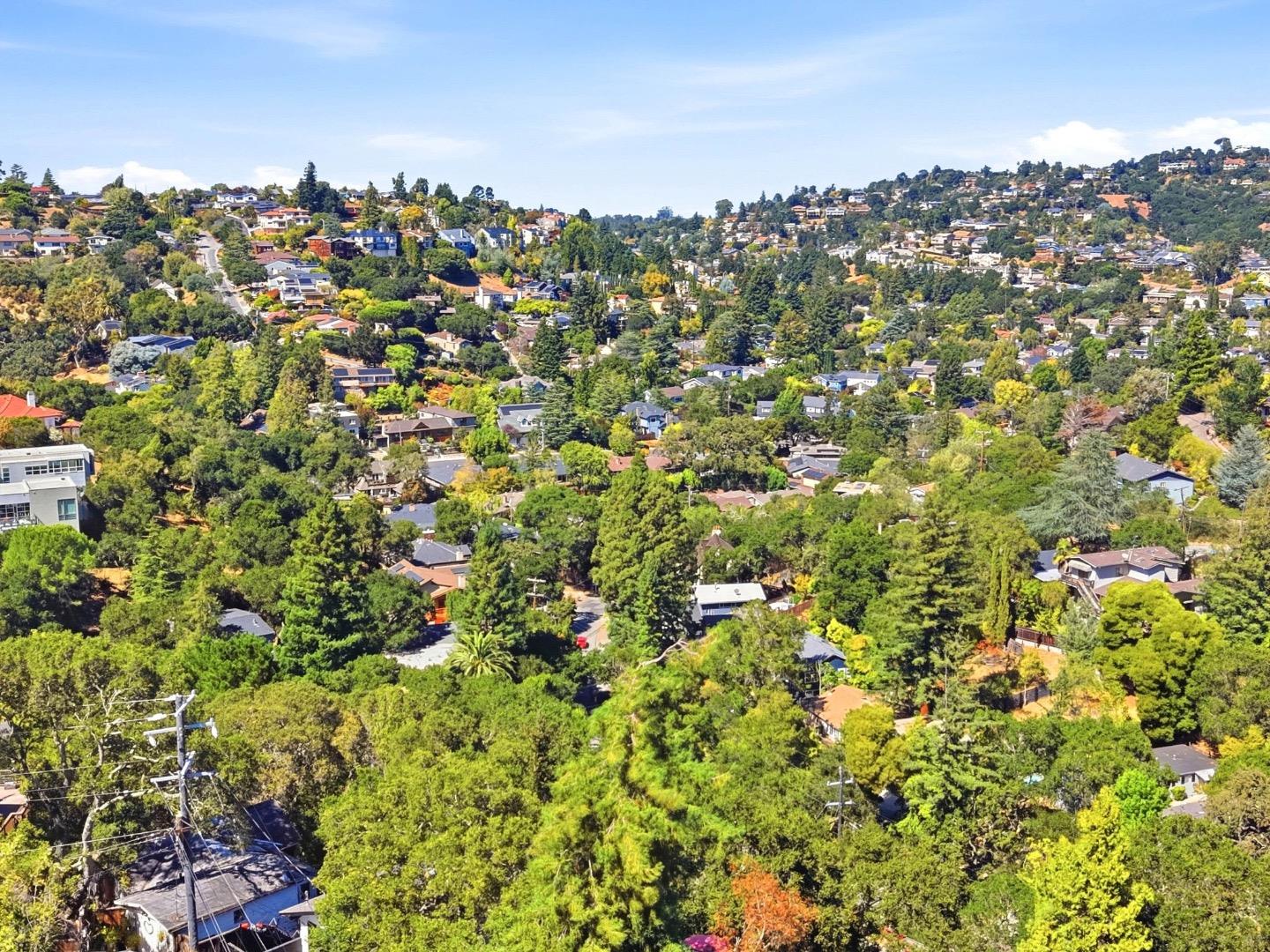 Aerial view of hillside homes nestled among dense trees.