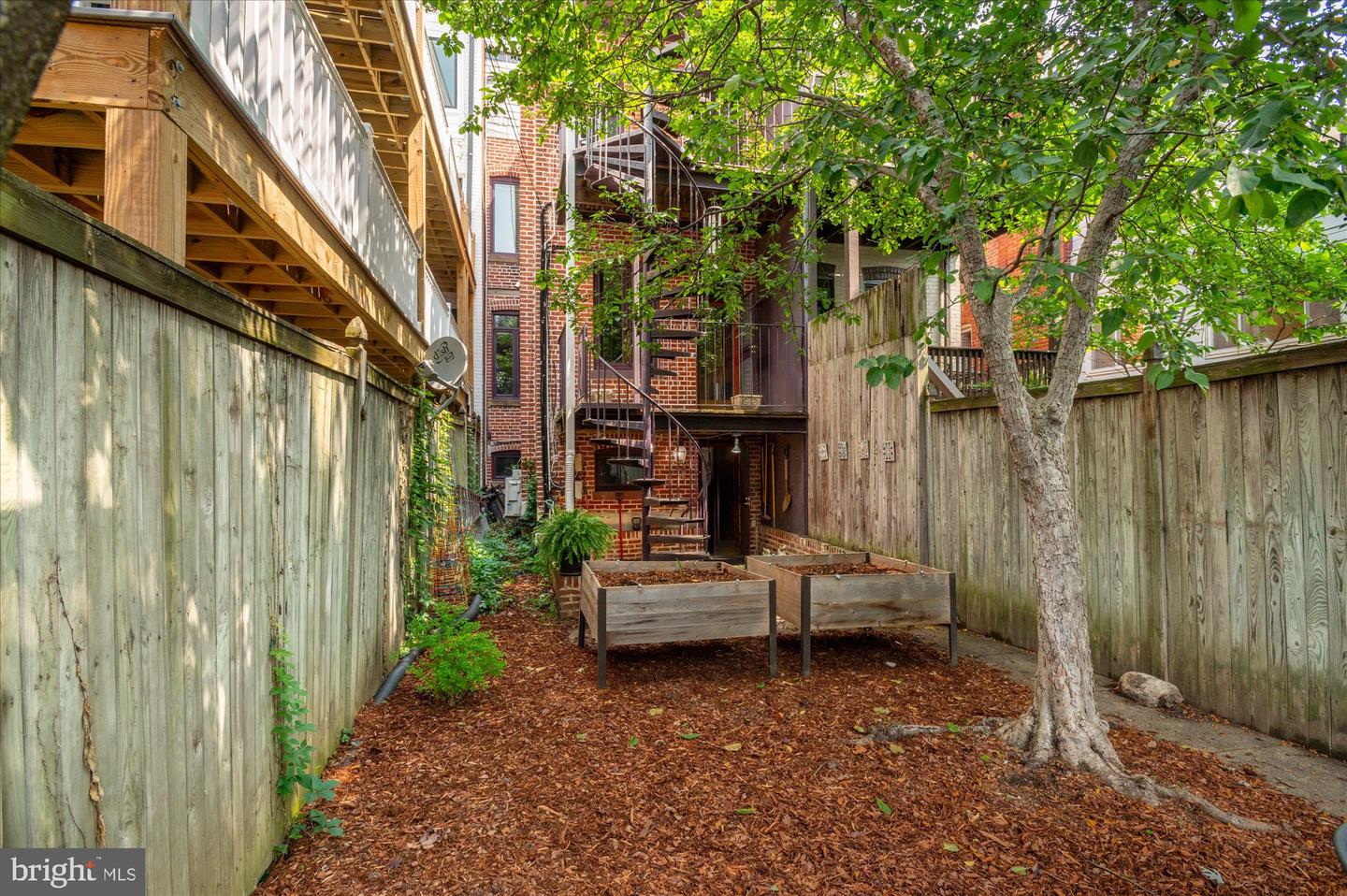 1116 Lamont St NW