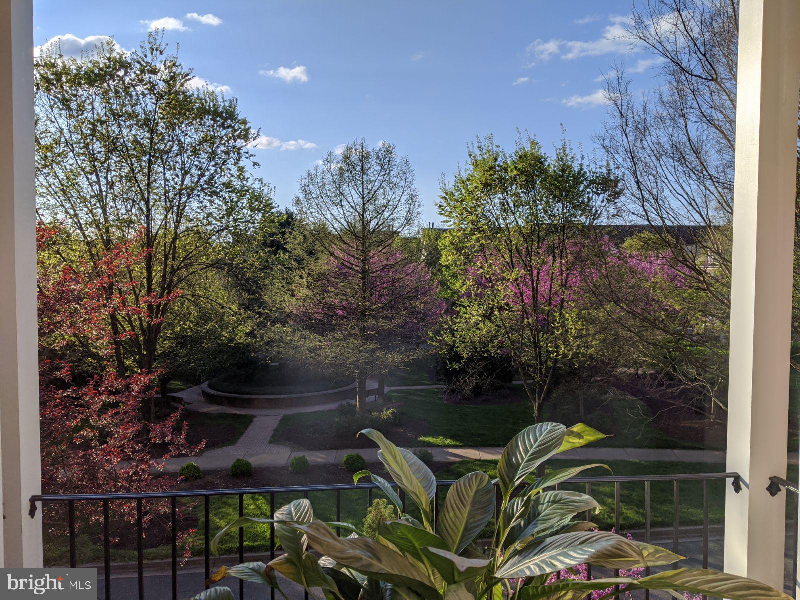 311 Garden View SQUARE