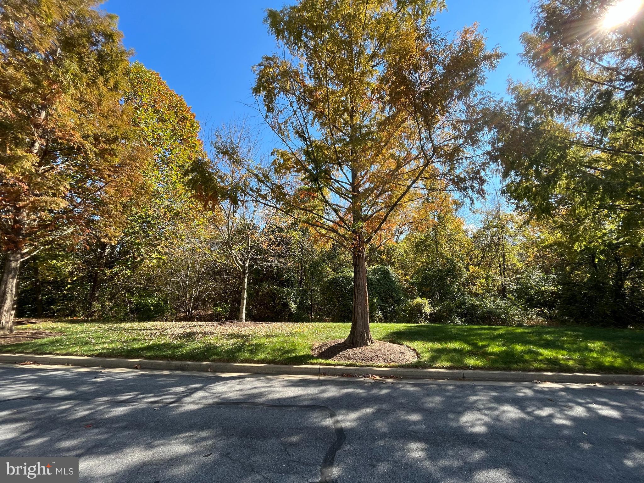 215 Creek Valley Ln