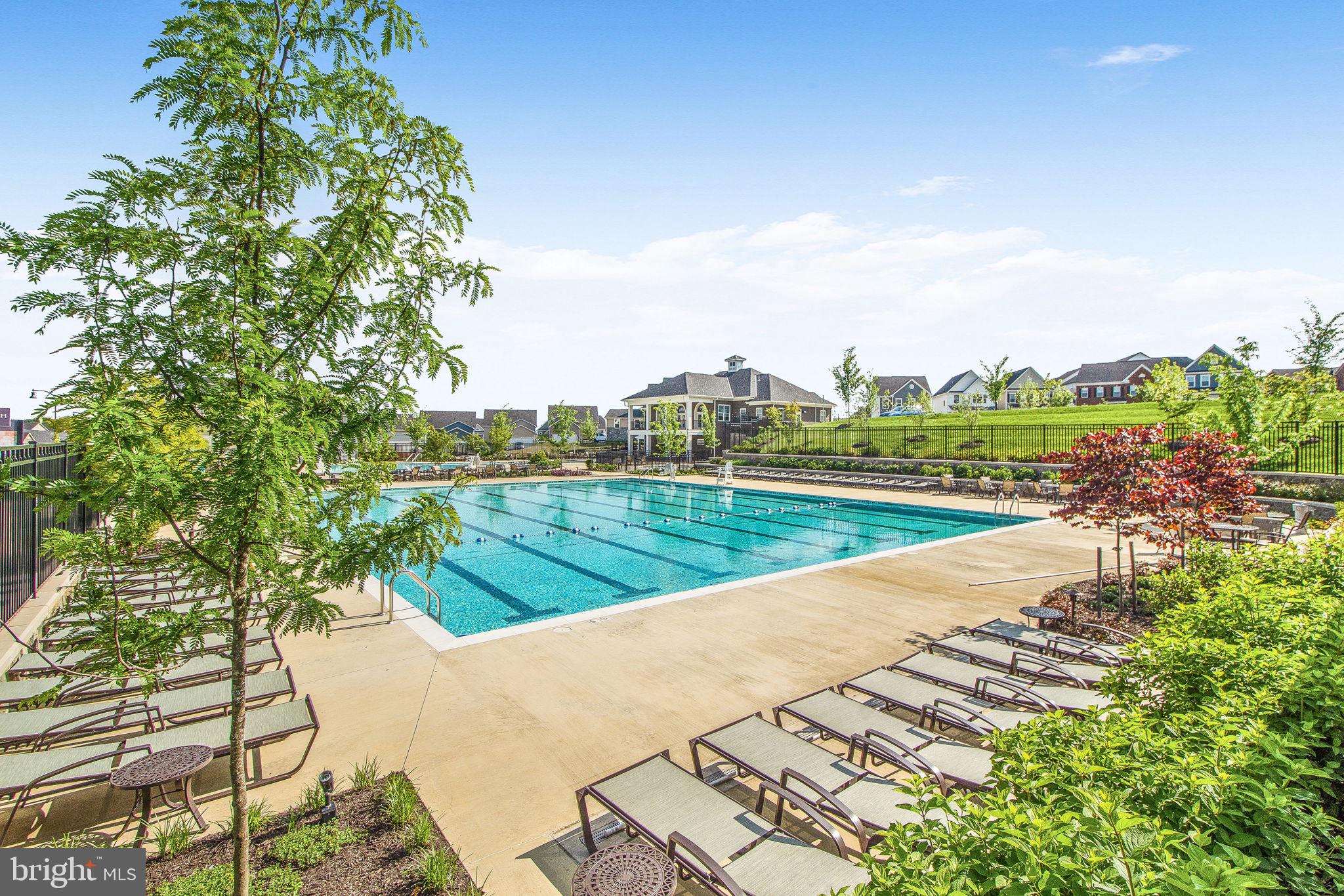 13705 Tribute Pkwy