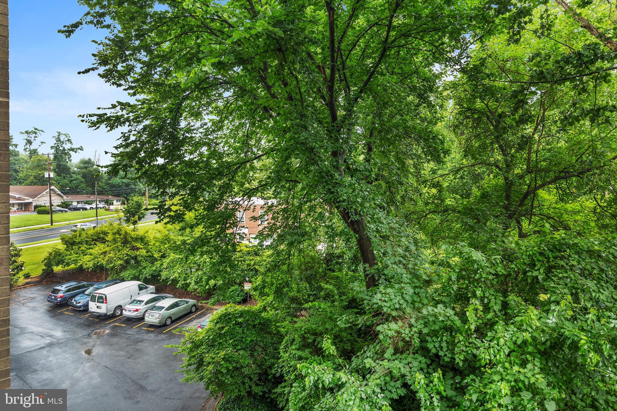 2100 WASHINGTON AVENUE 3-C