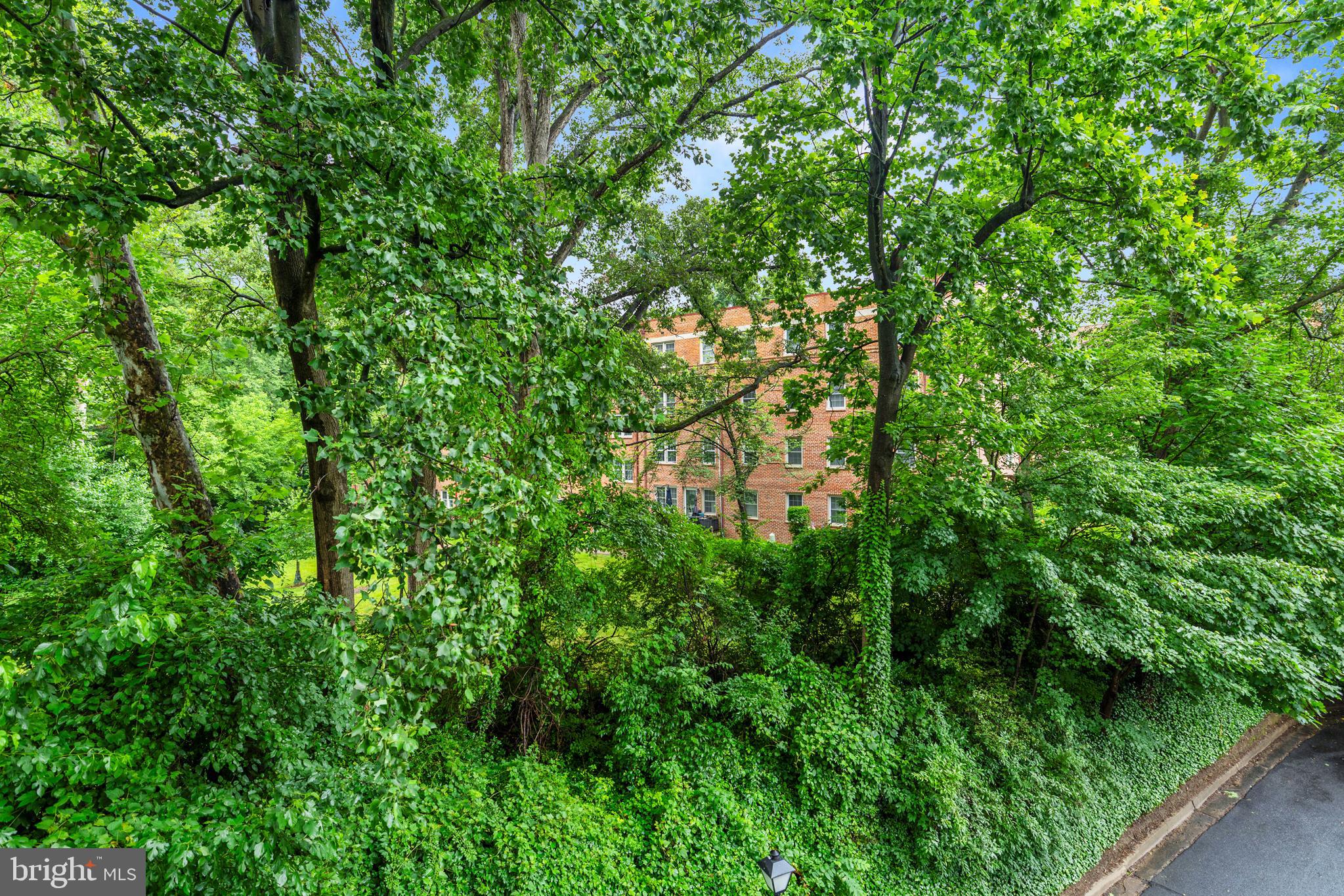 2100 WASHINGTON AVENUE 3-C