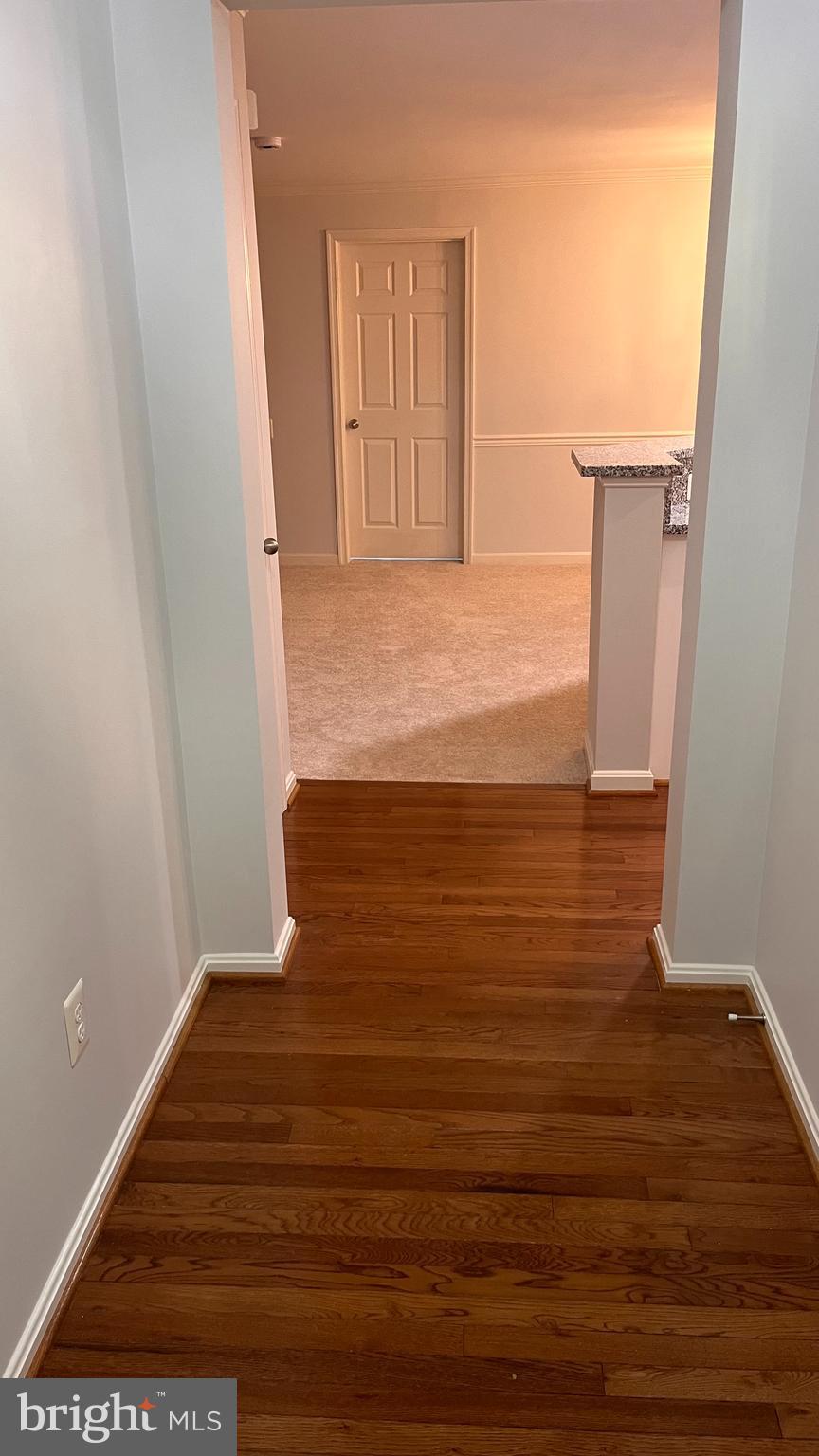 18805 SPARKLING WATER DRIVE 7/201