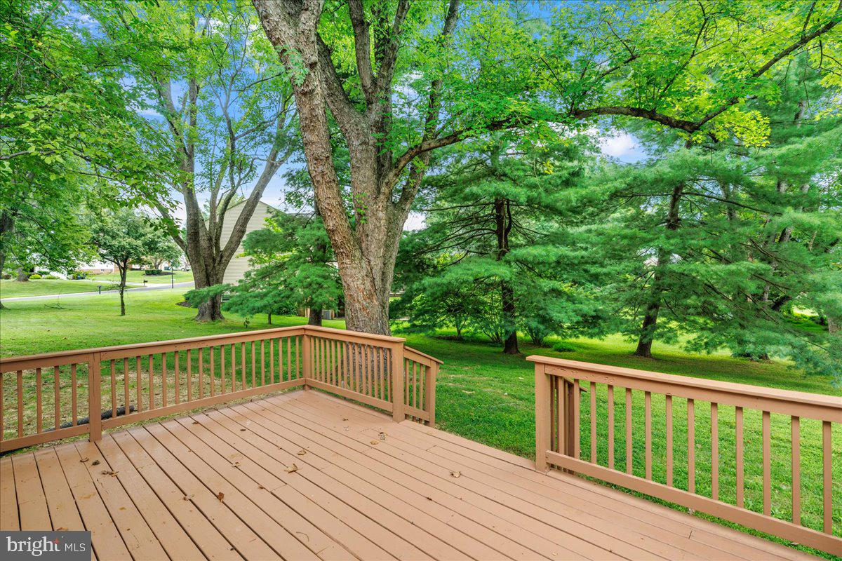 13517 MIDDLEVALE LANE