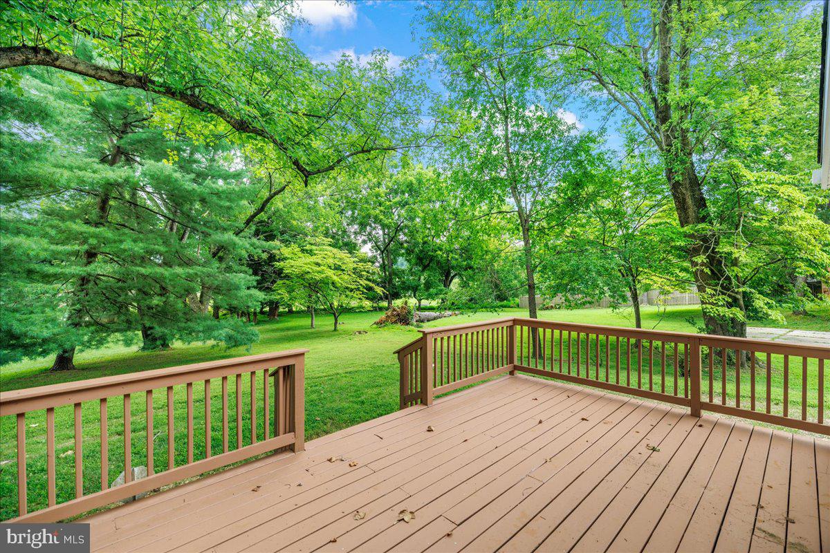 13517 MIDDLEVALE LANE