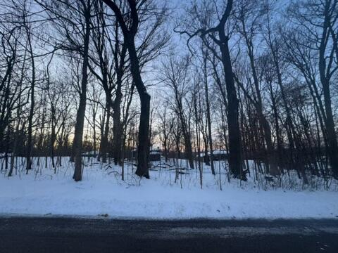 Lt 17 & 18 Forest Dr