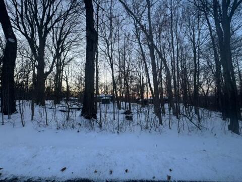 Lt 17 & 18 Forest Dr