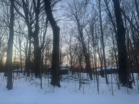 Lt 17 & 18 Forest Dr