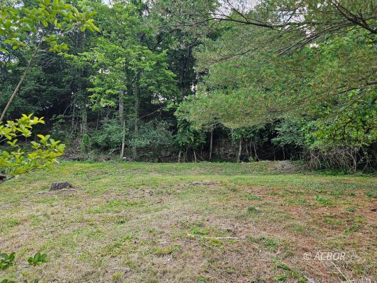 410 Hedgewood Dr.