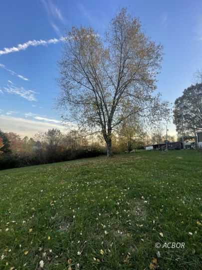 324 Ingleside Camp Road