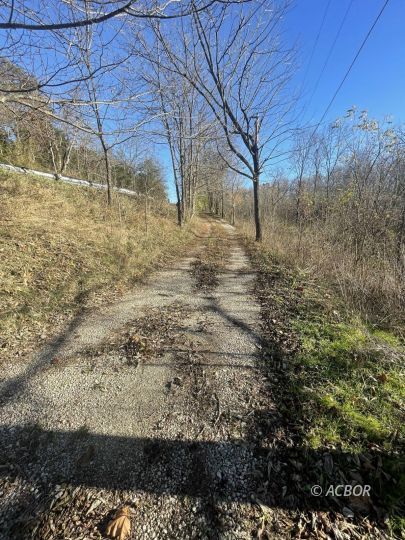 699 Evergreen Rd.