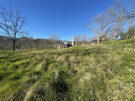 699 Evergreen Rd.