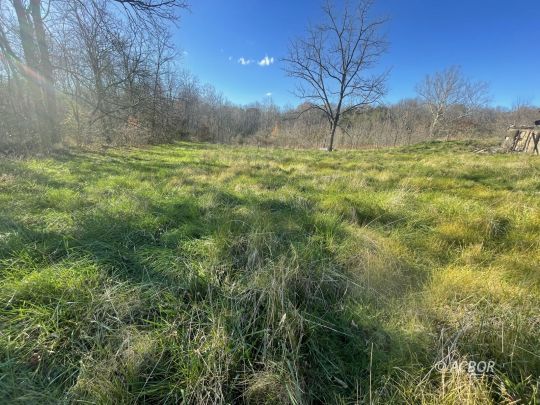 699 Evergreen Rd.