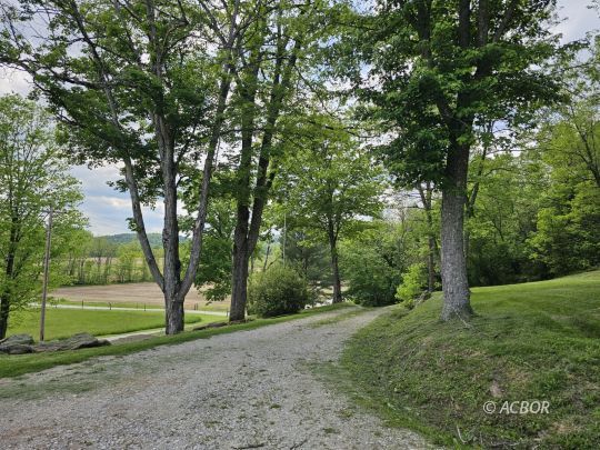 3202 Raccoon Rd.